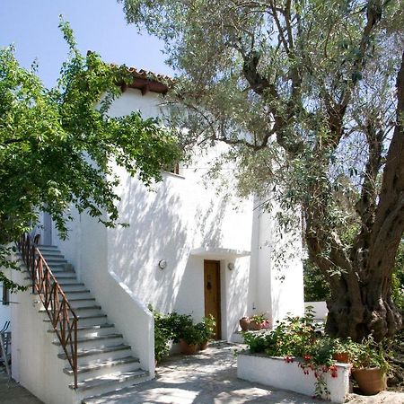 Villas Alexandra Skiathos Platanias  Luaran gambar