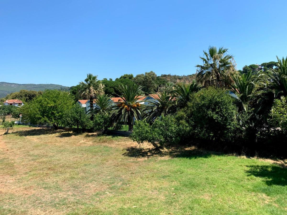 Villas Alexandra Skiathos Platanias  Luaran gambar