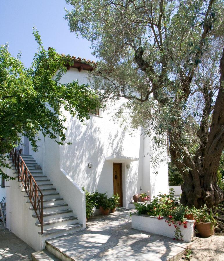 Villas Alexandra Skiathos Platanias  Luaran gambar