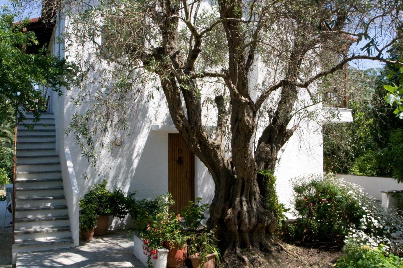 Villas Alexandra Skiathos Platanias  Luaran gambar
